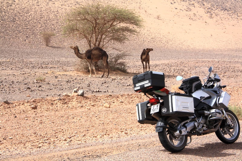 Натиснете снимката за да я уголемите

Име:IMG_2982.JPG
Прегледи:1
Размер:463.4 КБ
ID:5282823