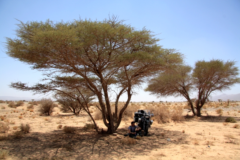 Натиснете снимката за да я уголемите

Име:IMG_3007.JPG
Прегледи:1
Размер:409.2 КБ
ID:5282827