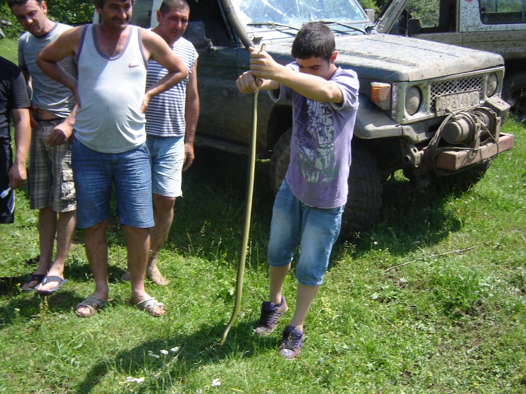 Натиснете снимката за да я уголемите

Име:DSC00026.jpg
Прегледи:1
Размер:226.2 КБ
ID:5283088