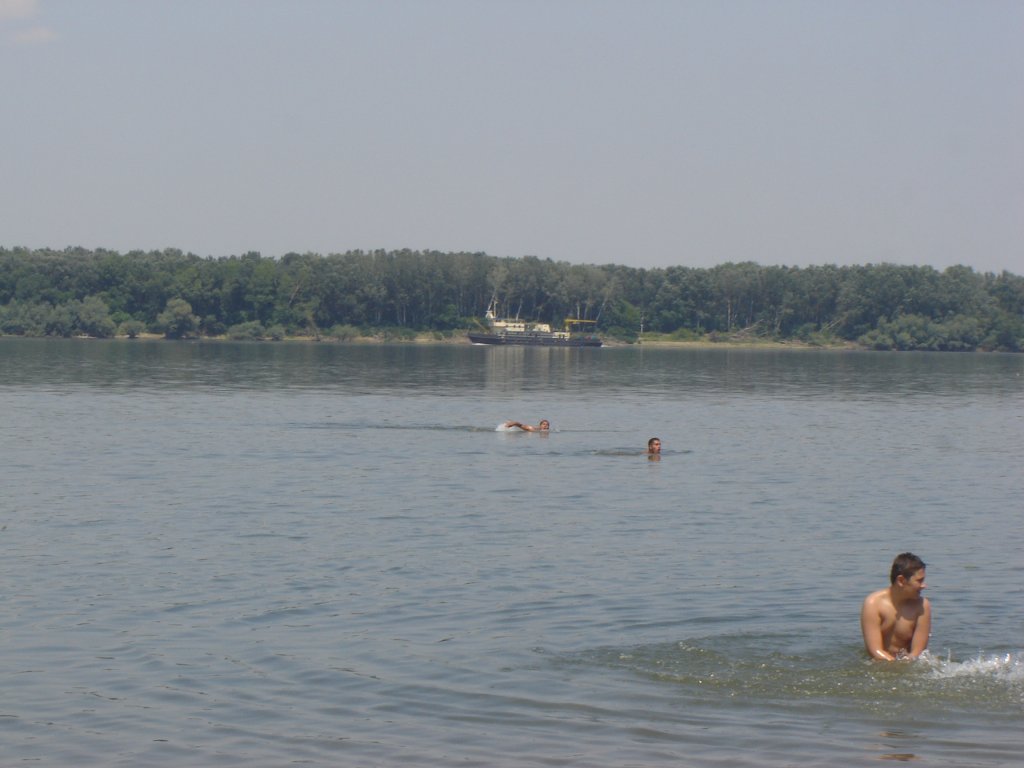 Натиснете снимката за да я уголемите

Име:DSC00048.jpg
Прегледи:1
Размер:81.7 КБ
ID:5286584