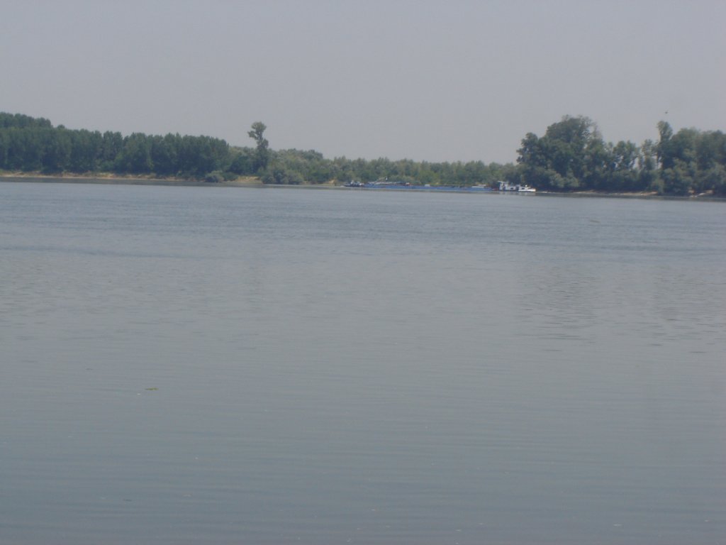 Натиснете снимката за да я уголемите

Име:DSC00041.jpg
Прегледи:1
Размер:53.6 КБ
ID:5286586