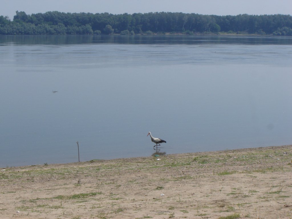 Натиснете снимката за да я уголемите

Име:DSC00040.jpg
Прегледи:1
Размер:98.4 КБ
ID:5286587