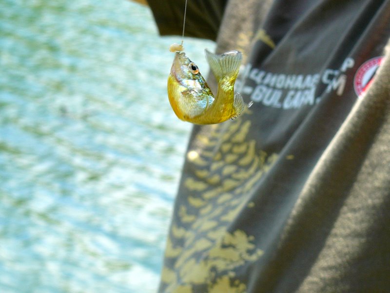 Натиснете снимката за да я уголемите

Име:P1240013.JPG
Прегледи:1
Размер:77.8 КБ
ID:5287985