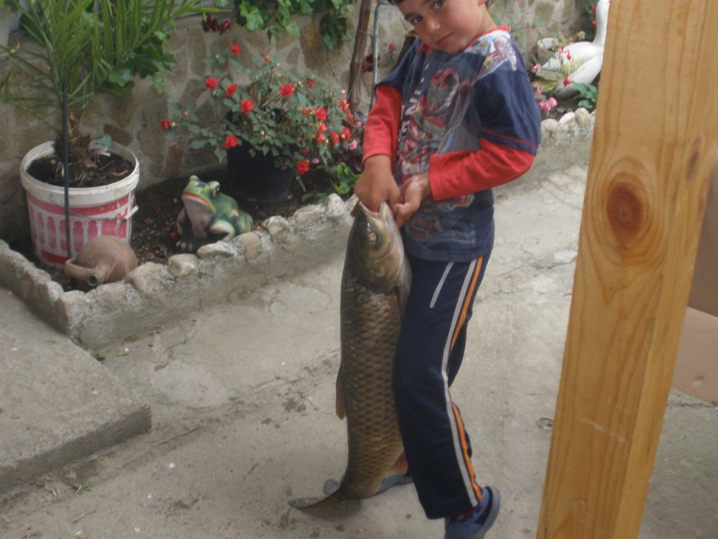 Натиснете снимката за да я уголемите

Име:P6290003.jpg
Прегледи:1
Размер:118.1 КБ
ID:5289739