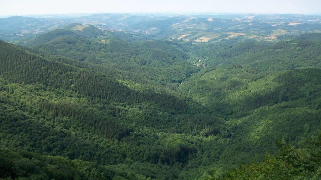 Натиснете снимката за да я уголемите

Име:Picture 009.jpg
Прегледи:1
Размер:130.5 КБ
ID:5289863