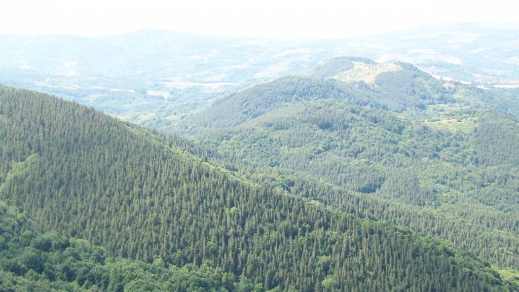 Натиснете снимката за да я уголемите

Име:Picture 012.jpg
Прегледи:1
Размер:132.4 КБ
ID:5289866