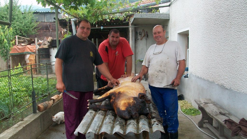 Натиснете снимката за да я уголемите

Име:Picture 166.jpg
Прегледи:2
Размер:162.0 КБ
ID:5290483