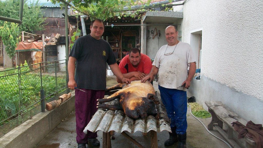 Натиснете снимката за да я уголемите

Име:Picture 167.jpg
Прегледи:1
Размер:163.0 КБ
ID:5290484