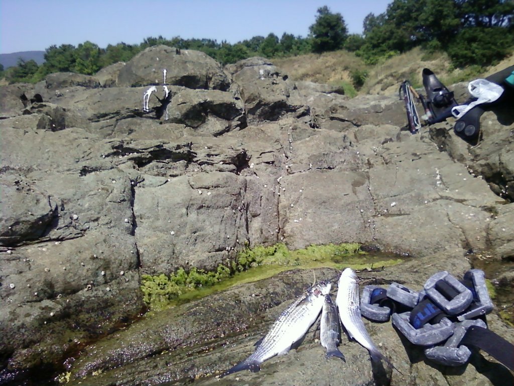 Натиснете снимката за да я уголемите

Име:P15-07-11_10.49.jpg
Прегледи:1
Размер:198.5 КБ
ID:5291141