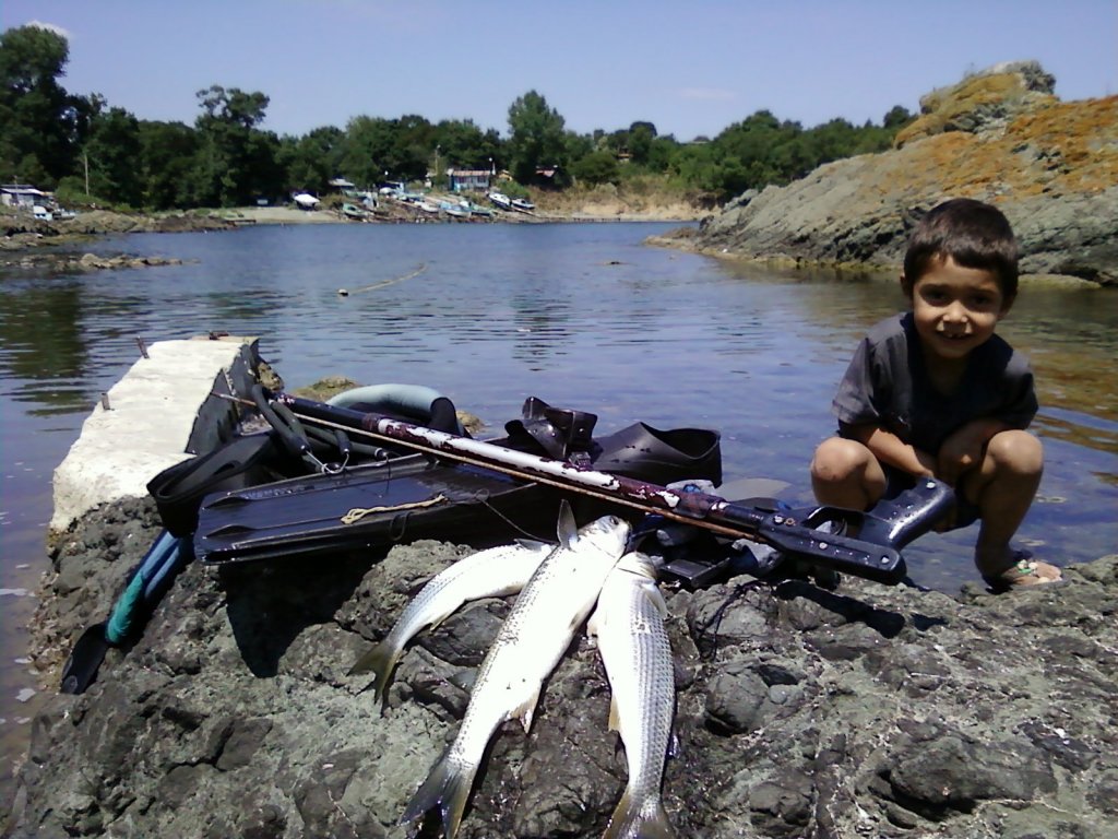 Натиснете снимката за да я уголемите

Име:P31-07-11_12.36[1].jpg
Прегледи:1
Размер:175.7 КБ
ID:5294017