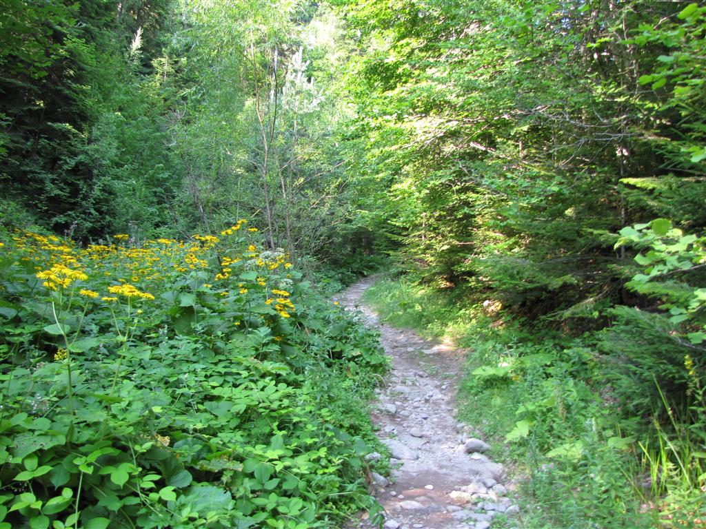 Натиснете снимката за да я уголемите

Име:IMG_4281 (Medium).JPG
Прегледи:1
Размер:236.6 КБ
ID:5295353