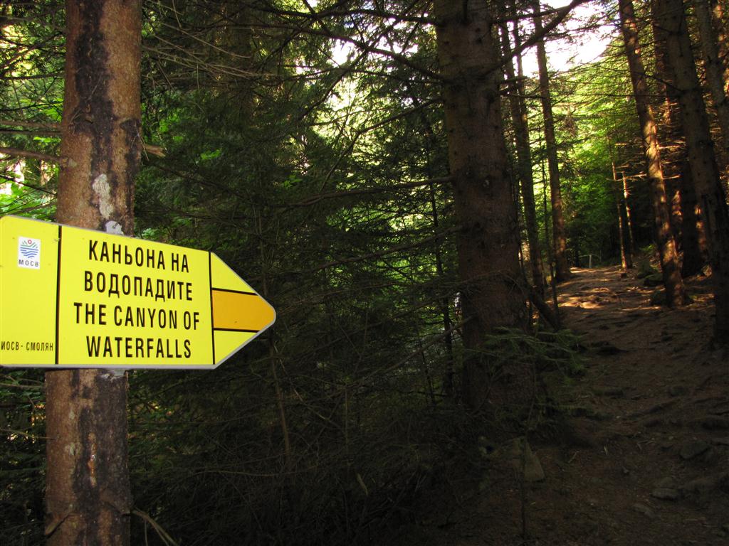 Натиснете снимката за да я уголемите

Име:IMG_4304 (Medium).JPG
Прегледи:1
Размер:157.9 КБ
ID:5295354