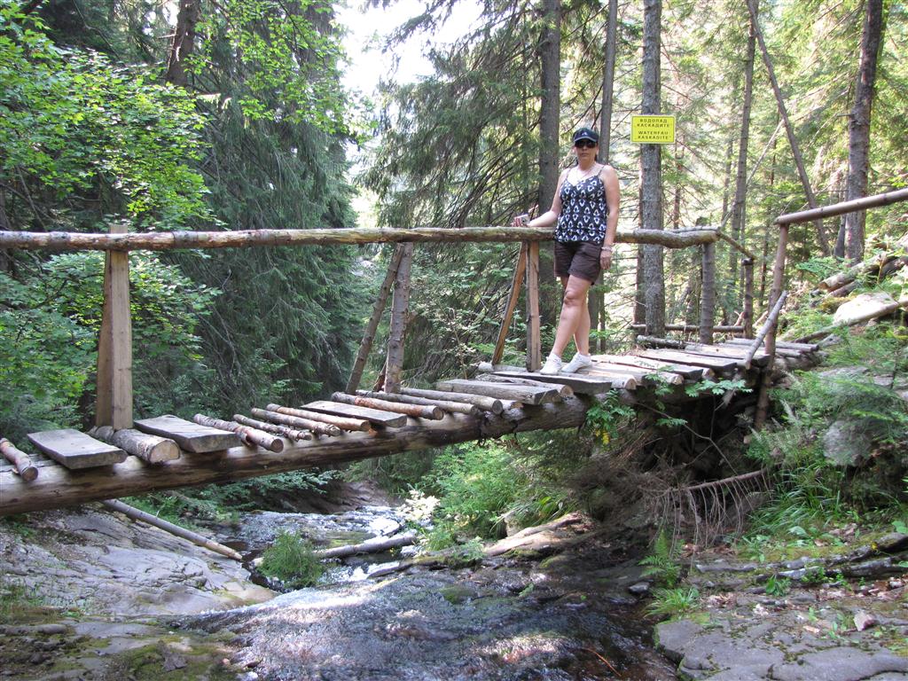 Натиснете снимката за да я уголемите

Име:IMG_4326 (Medium).JPG
Прегледи:1
Размер:239.5 КБ
ID:5295357