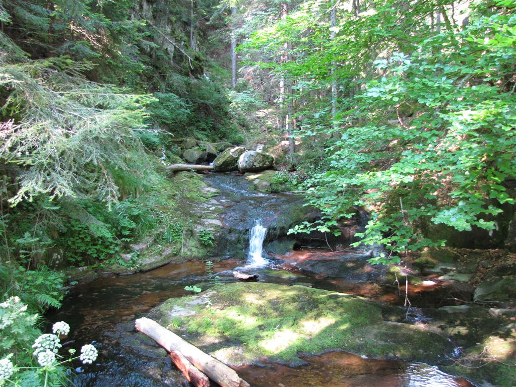 Натиснете снимката за да я уголемите

Име:IMG_4335 (Medium).JPG
Прегледи:1
Размер:222.6 КБ
ID:5295358