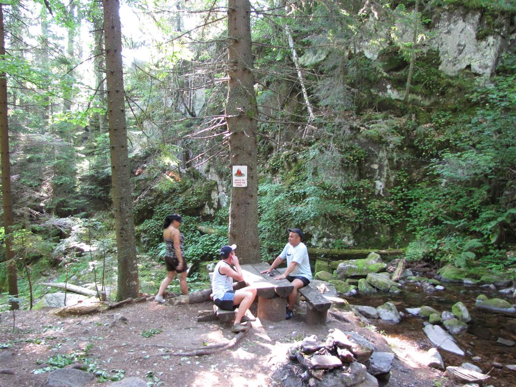 Натиснете снимката за да я уголемите

Име:IMG_4338 (Medium).JPG
Прегледи:1
Размер:218.7 КБ
ID:5295359