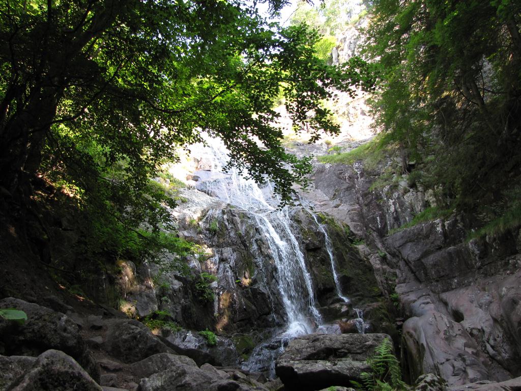 Натиснете снимката за да я уголемите

Име:IMG_4376 (Medium).JPG
Прегледи:1
Размер:201.8 КБ
ID:5295361