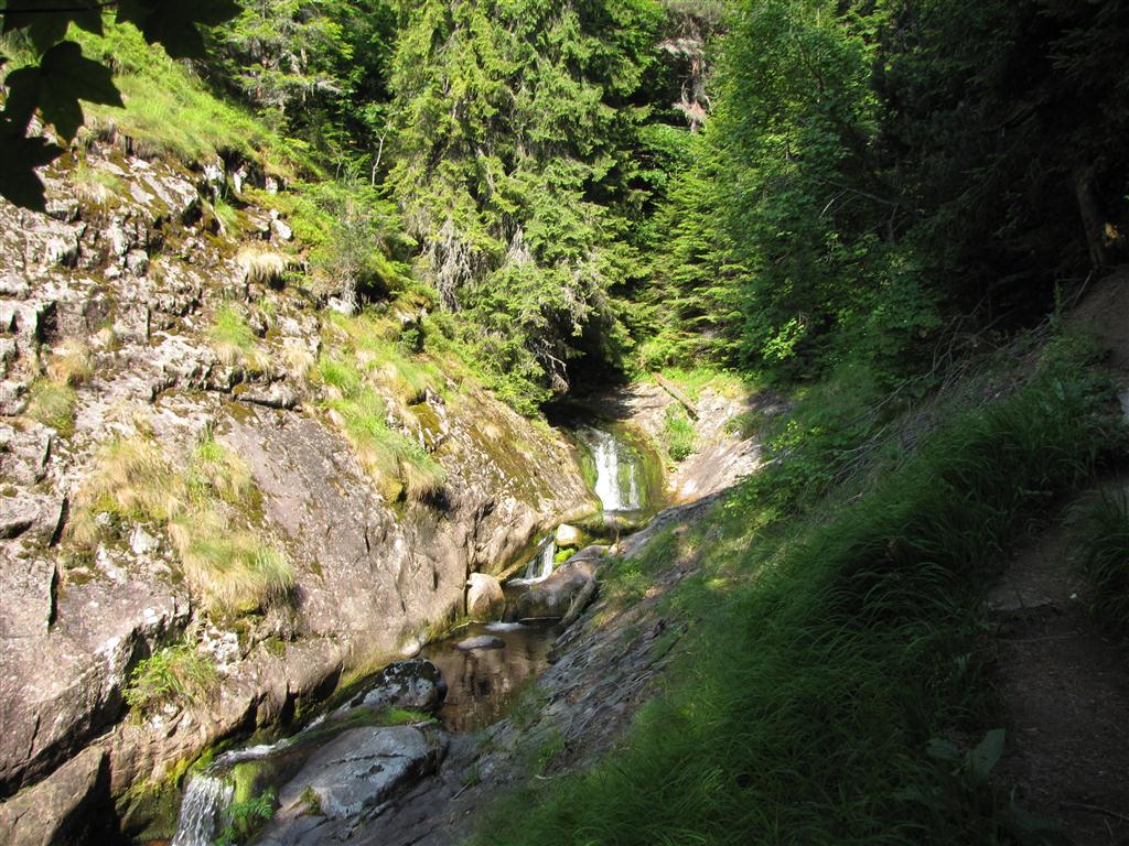 Натиснете снимката за да я уголемите

Име:IMG_4395 (Medium).JPG
Прегледи:1
Размер:208.6 КБ
ID:5295365