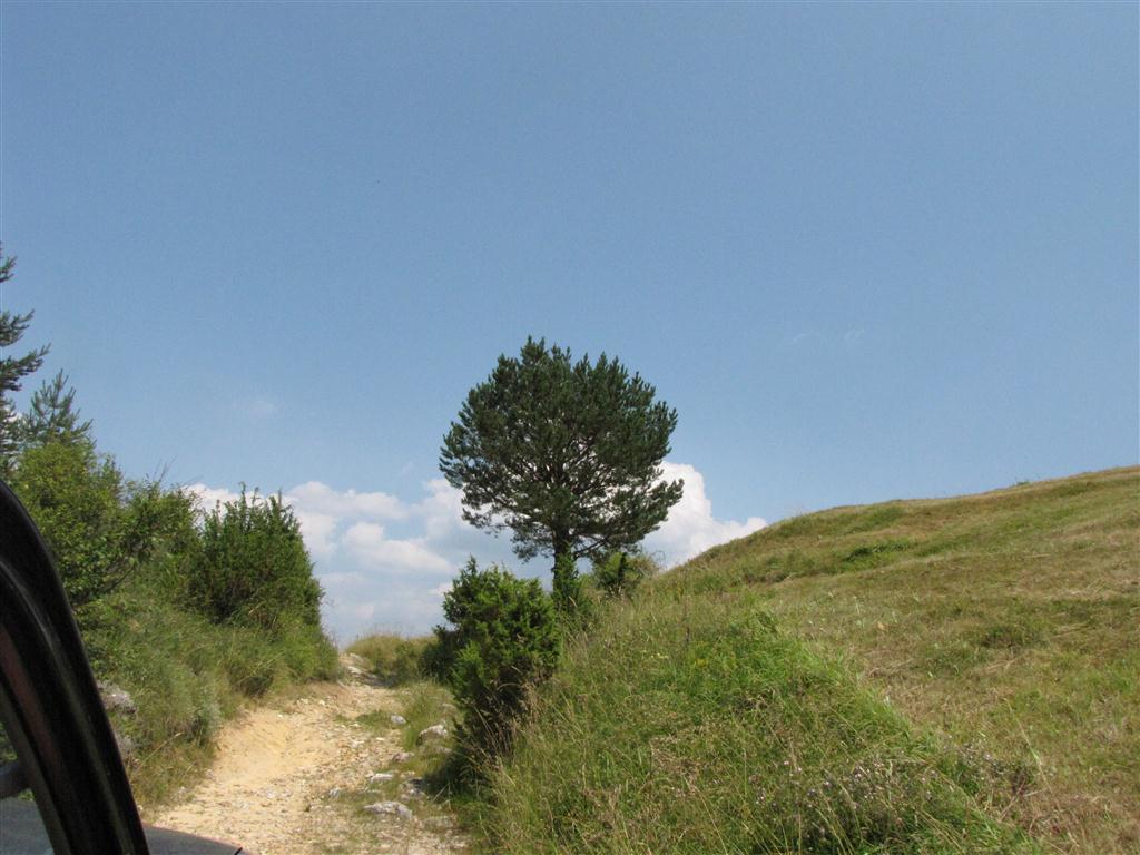 Натиснете снимката за да я уголемите

Име:IMG_4512 (Medium).JPG
Прегледи:1
Размер:103.7 КБ
ID:5295377