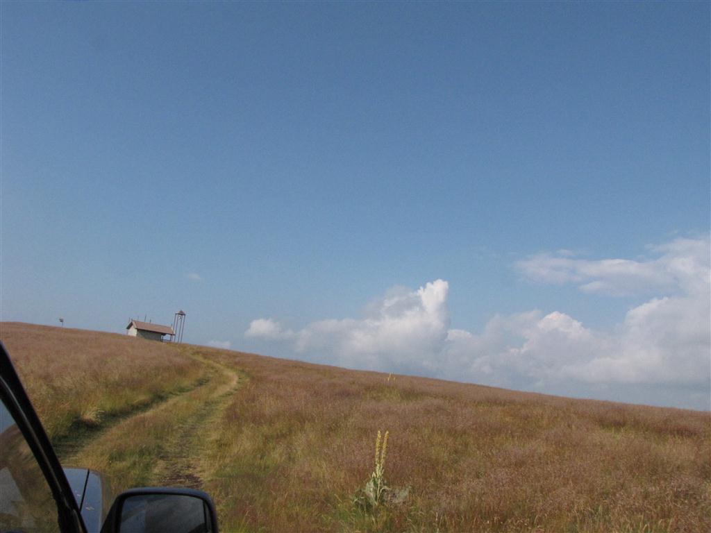 Натиснете снимката за да я уголемите

Име:IMG_4621 (Medium).JPG
Прегледи:1
Размер:67.7 КБ
ID:5295559