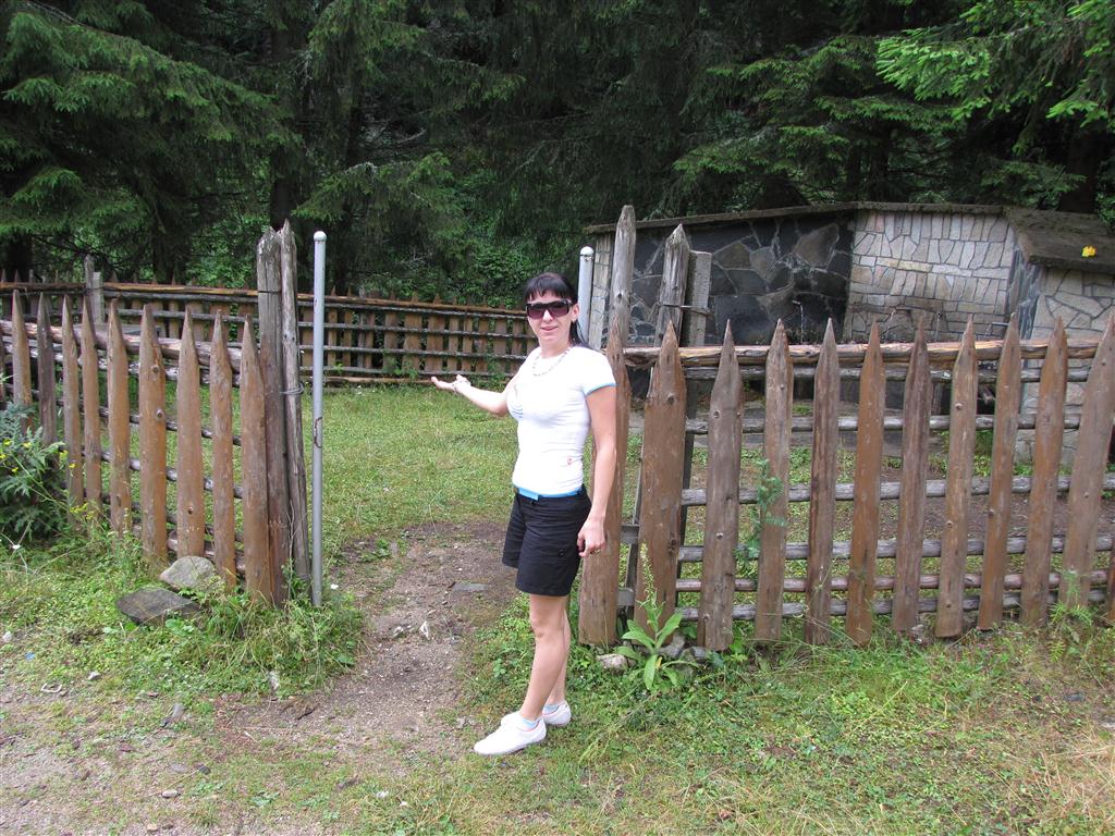 Натиснете снимката за да я уголемите

Име:IMG_4642 (Medium).JPG
Прегледи:1
Размер:202.3 КБ
ID:5295562