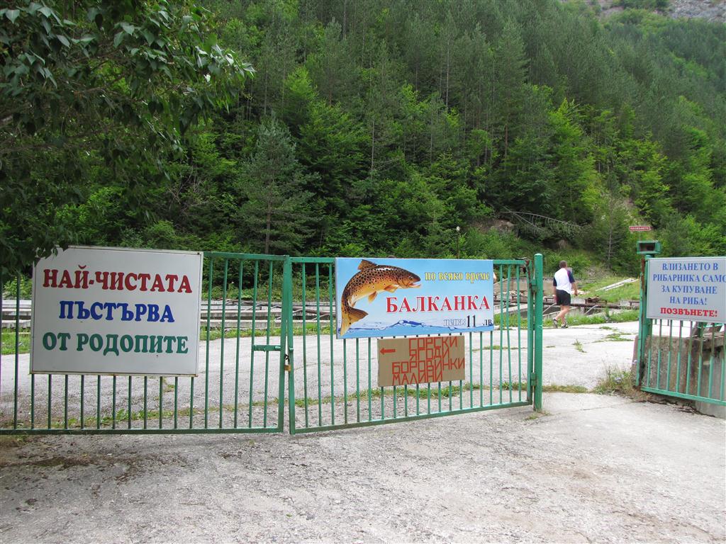 Натиснете снимката за да я уголемите

Име:IMG_4721 (Medium).JPG
Прегледи:1
Размер:189.6 КБ
ID:5295566