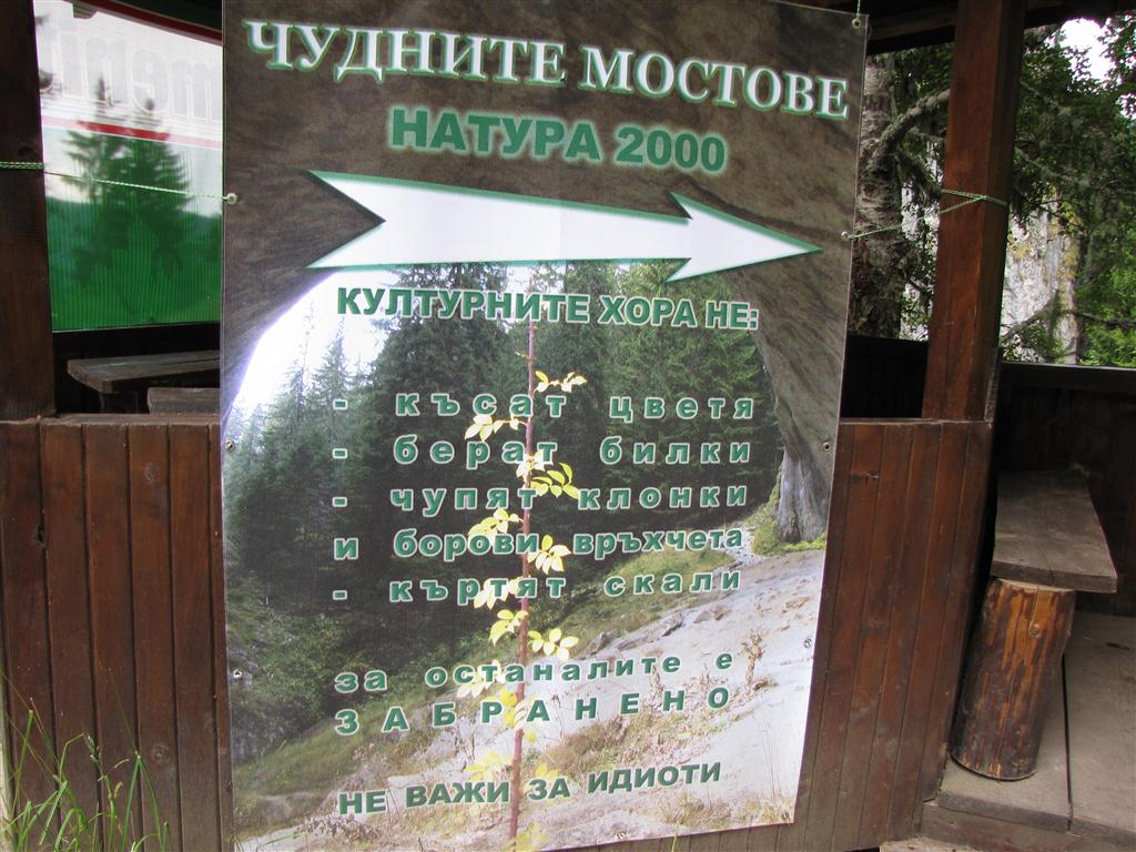 Натиснете снимката за да я уголемите

Име:IMG_4735 (Medium).JPG
Прегледи:1
Размер:146.6 КБ
ID:5295568