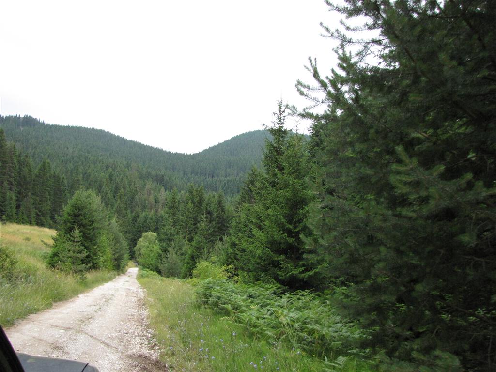 Натиснете снимката за да я уголемите

Име:IMG_4827 (Medium).JPG
Прегледи:1
Размер:122.3 КБ
ID:5295571