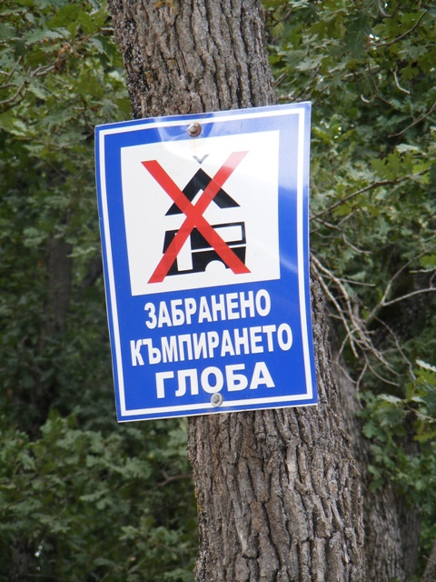 Натиснете снимката за да я уголемите

Име:DSCF9276-1.JPG
Прегледи:1
Размер:174.0 КБ
ID:5297932