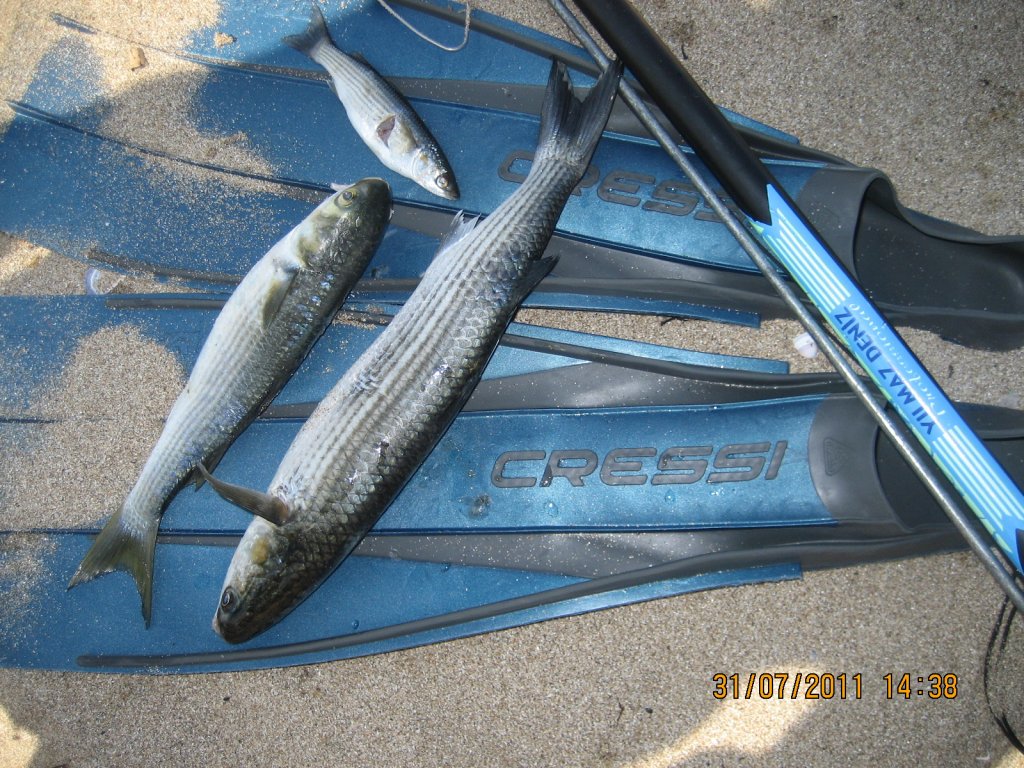 Натиснете снимката за да я уголемите

Име:IMG_0050.jpg
Прегледи:1
Размер:229.1 КБ
ID:5298027