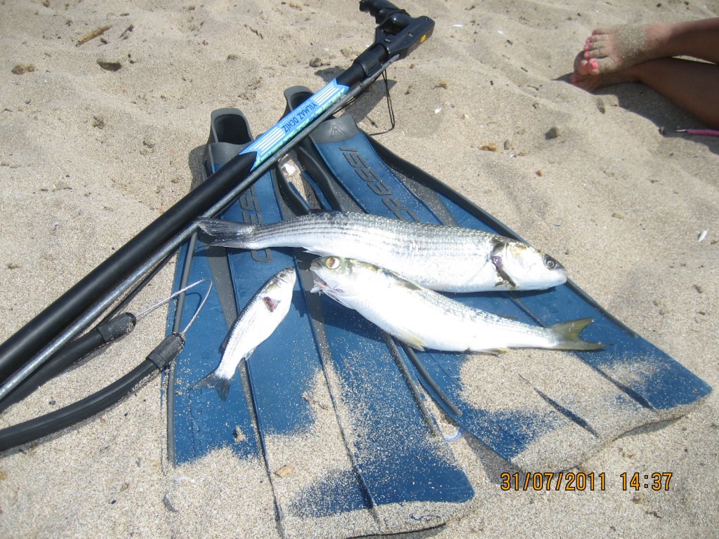 Натиснете снимката за да я уголемите

Име:IMG_0048.jpg
Прегледи:1
Размер:233.8 КБ
ID:5298028