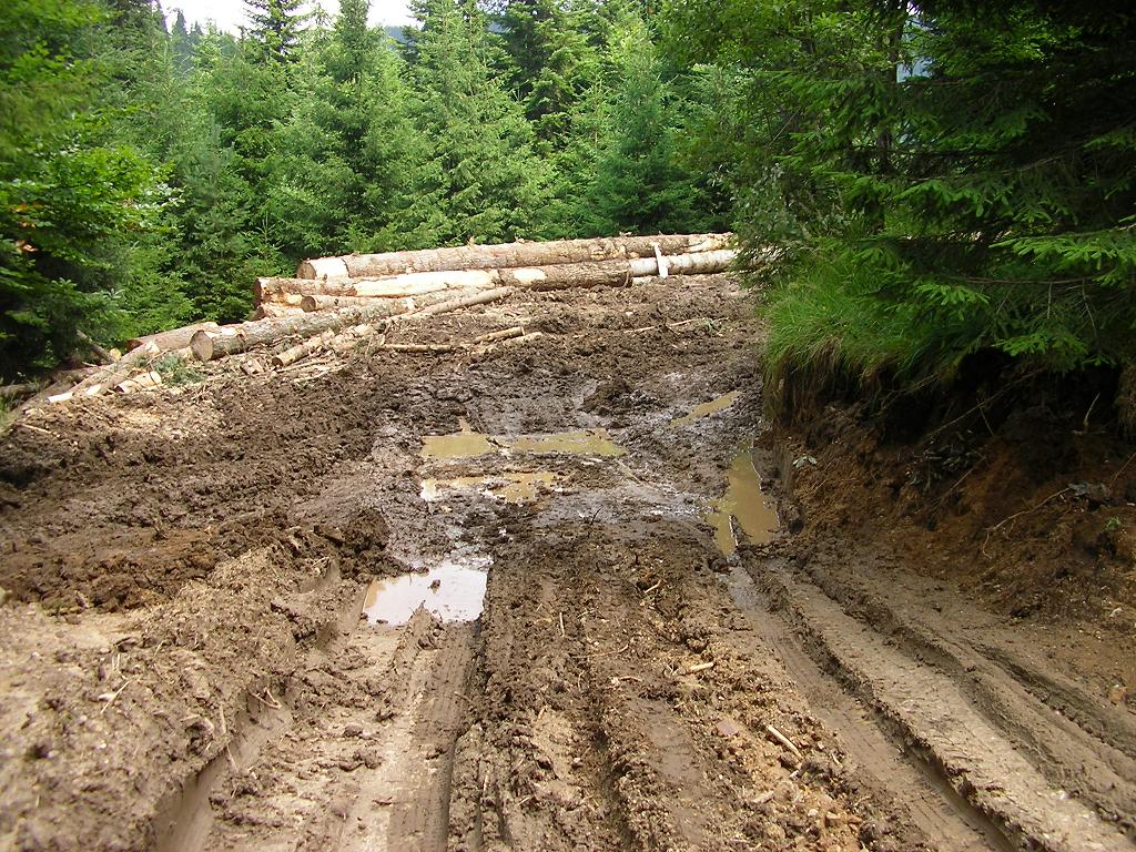 Натиснете снимката за да я уголемите

Име:2zrm4o8.jpg
Прегледи:1
Размер:267.7 КБ
ID:5298196