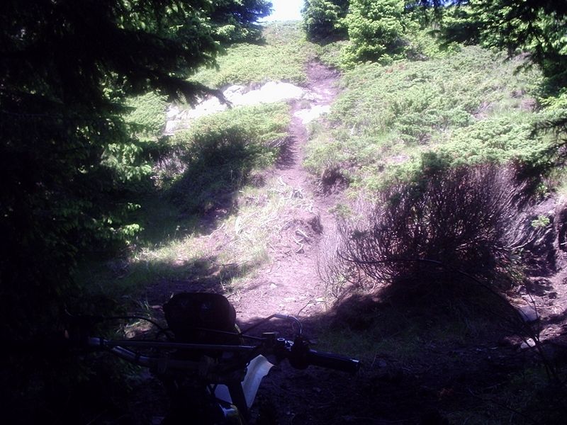 Натиснете снимката за да я уголемите

Име:3551337C.jpg
Прегледи:1
Размер:111.1 КБ
ID:5298354