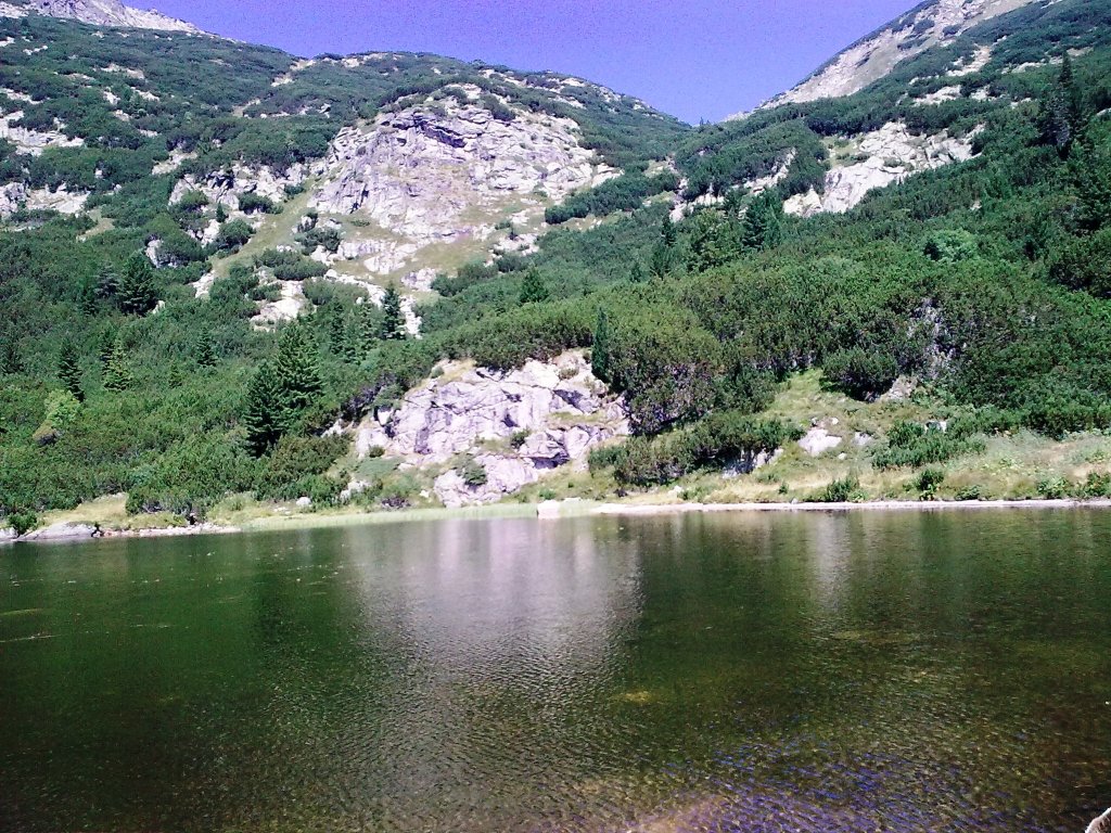 Натиснете снимката за да я уголемите

Име:Изображение0417.jpg
Прегледи:1
Размер:281.6 КБ
ID:5298740