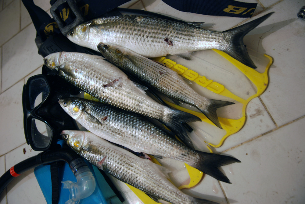 Натиснете снимката за да я уголемите

Име:1727.jpg
Прегледи:1
Размер:513.7 КБ
ID:5298803