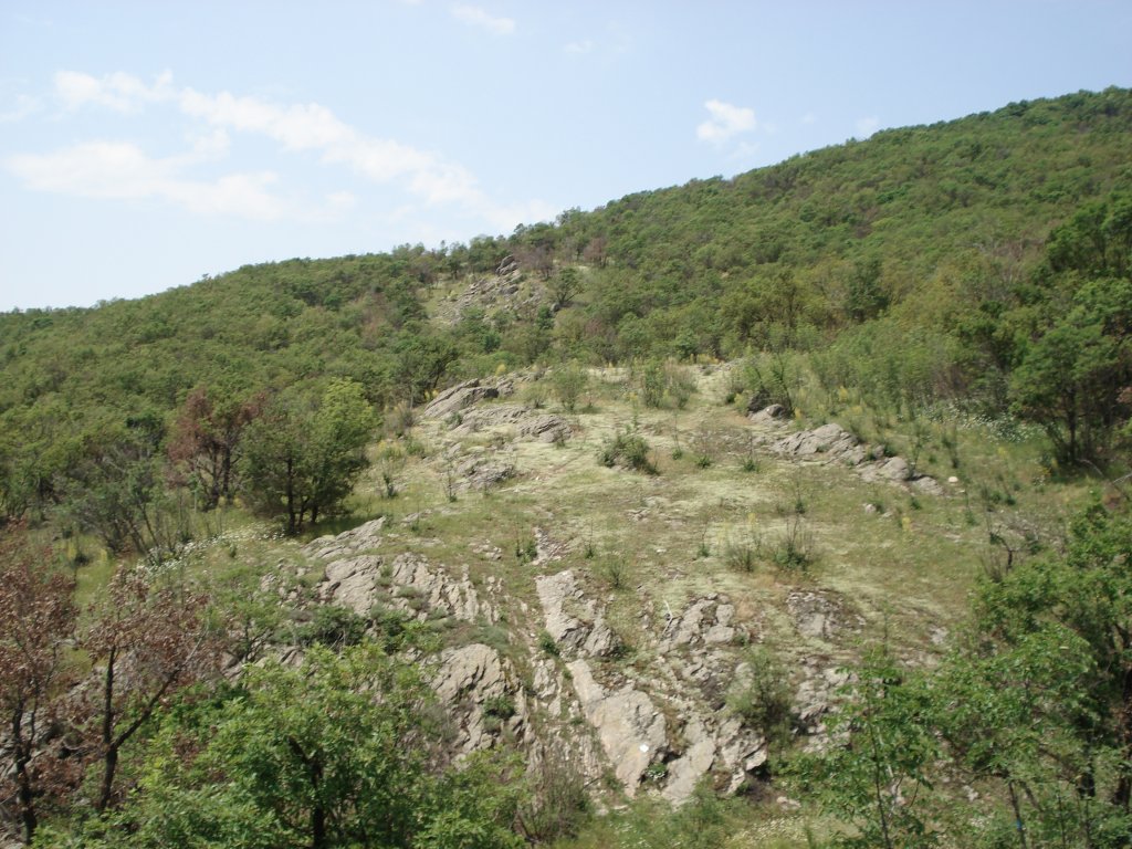 Натиснете снимката за да я уголемите

Име:DSC01364.jpg
Прегледи:1
Размер:187.9 КБ
ID:5302630
