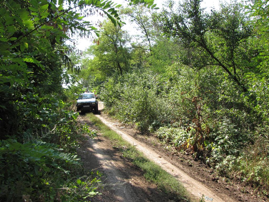 Натиснете снимката за да я уголемите

Име:IMG_5261 (Medium).JPG
Прегледи:1
Размер:263.1 КБ
ID:5303039