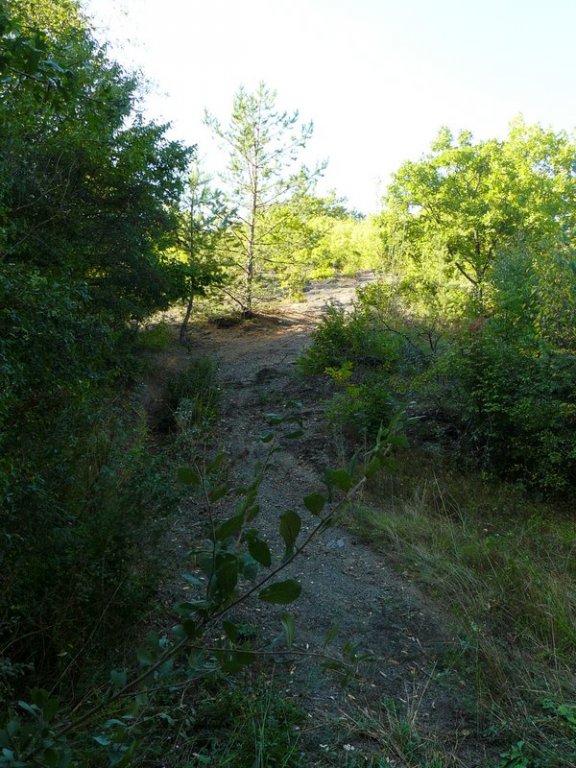 Натиснете снимката за да я уголемите

Име:P1250794.jpg
Прегледи:1
Размер:117.0 КБ
ID:5306371