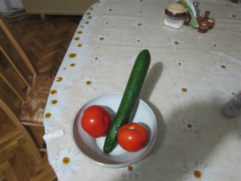Натиснете снимката за да я уголемите

Име:Picture (Medium).jpg
Прегледи:1
Размер:50.9 КБ
ID:5307405