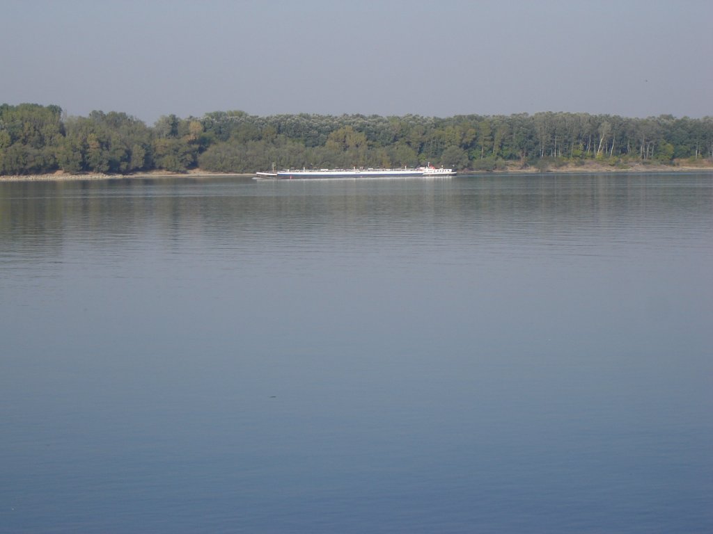 Натиснете снимката за да я уголемите

Име:DSC00012.jpg
Прегледи:1
Размер:64.1 КБ
ID:5307418