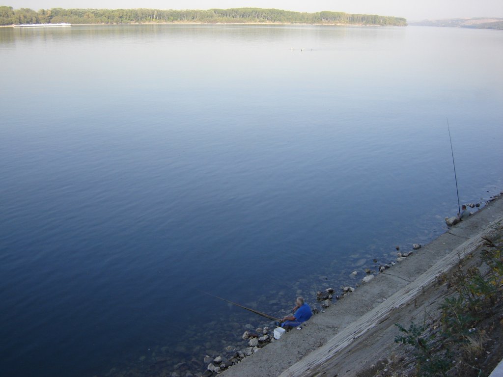 Натиснете снимката за да я уголемите

Име:DSC00014.jpg
Прегледи:1
Размер:84.4 КБ
ID:5307420