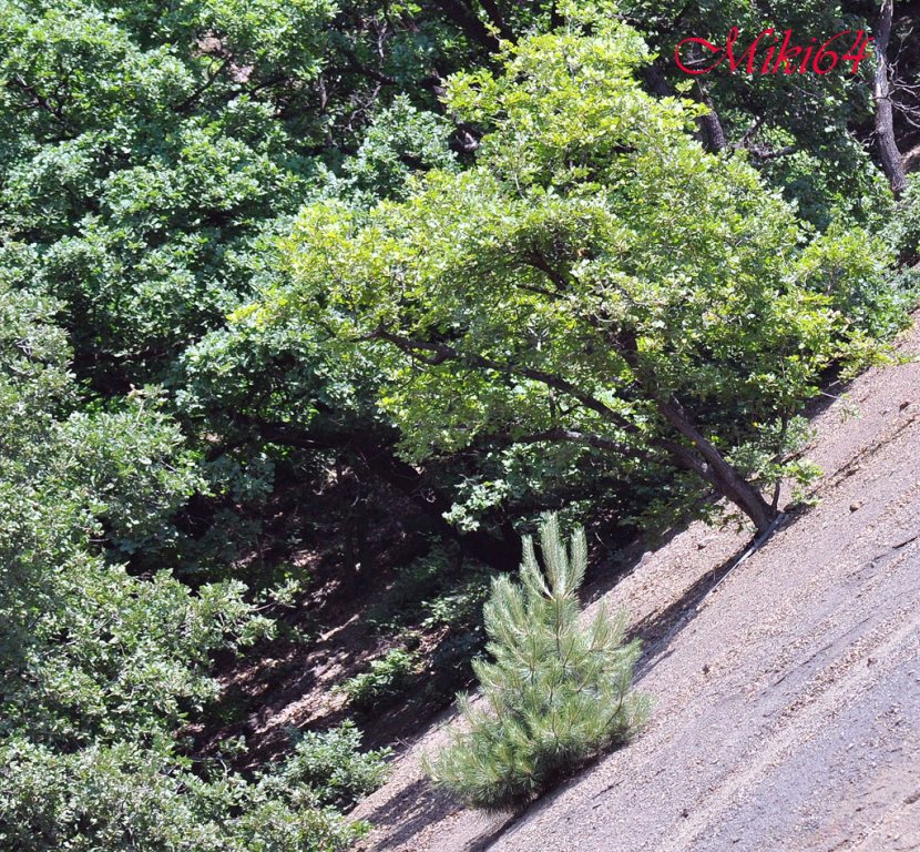 Натиснете снимката за да я уголемите

Име:DSC_0808.jpg
Прегледи:1
Размер:294.9 КБ
ID:5308086