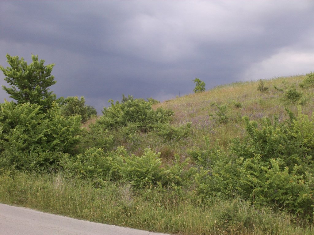 Натиснете снимката за да я уголемите

Име:23.jpg
Прегледи:1
Размер:176.4 КБ
ID:5944697