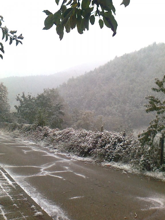 Натиснете снимката за да я уголемите

Име:Снимка0090.jpg
Прегледи:2
Размер:93.0 КБ
ID:5311735