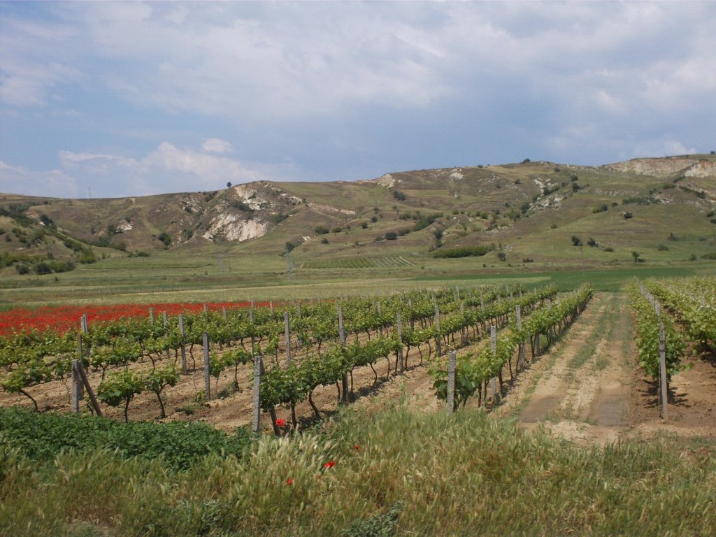 Натиснете снимката за да я уголемите

Име:51.jpg
Прегледи:1
Размер:169.9 КБ
ID:5944727