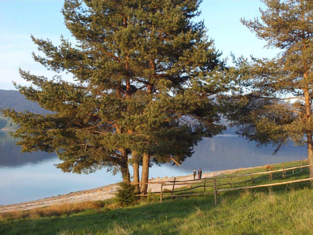 Натиснете снимката за да я уголемите

Име:69(1).jpg
Прегледи:1
Размер:238.9 КБ
ID:5944751