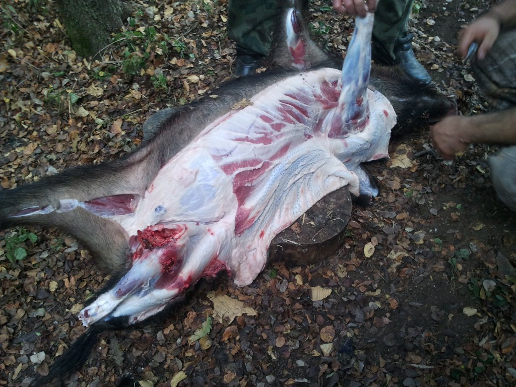 Натиснете снимката за да я уголемите

Име:2011-10-01 12.36.31.jpg
Прегледи:1
Размер:202.3 КБ
ID:5315241