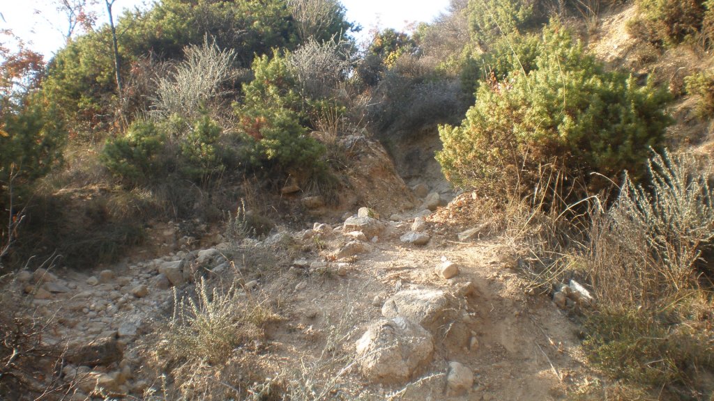 Натиснете снимката за да я уголемите

Име:PB061042.jpg
Прегледи:2
Размер:192.8 КБ
ID:5452818