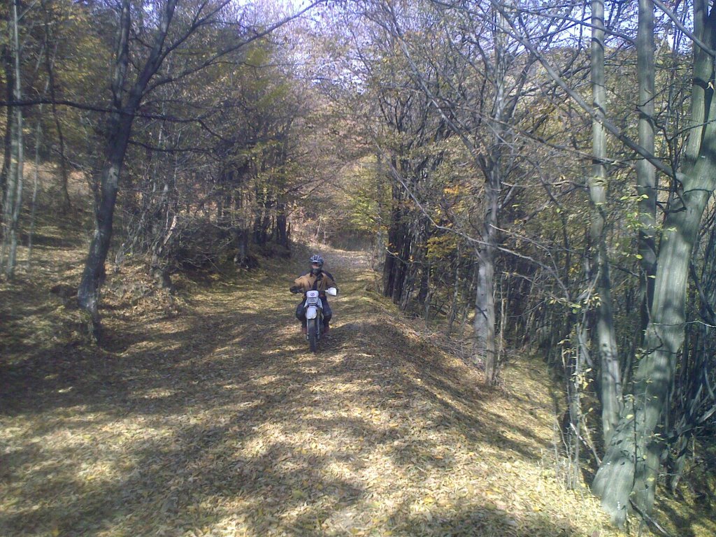 Натиснете снимката за да я уголемите

Име:06112011925.jpg
Прегледи:1
Размер:262.7 КБ
ID:5316752