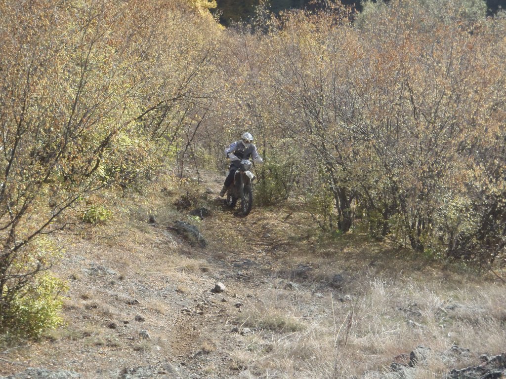 Натиснете снимката за да я уголемите

Име:082.jpg
Прегледи:1
Размер:306.3 КБ
ID:5317006