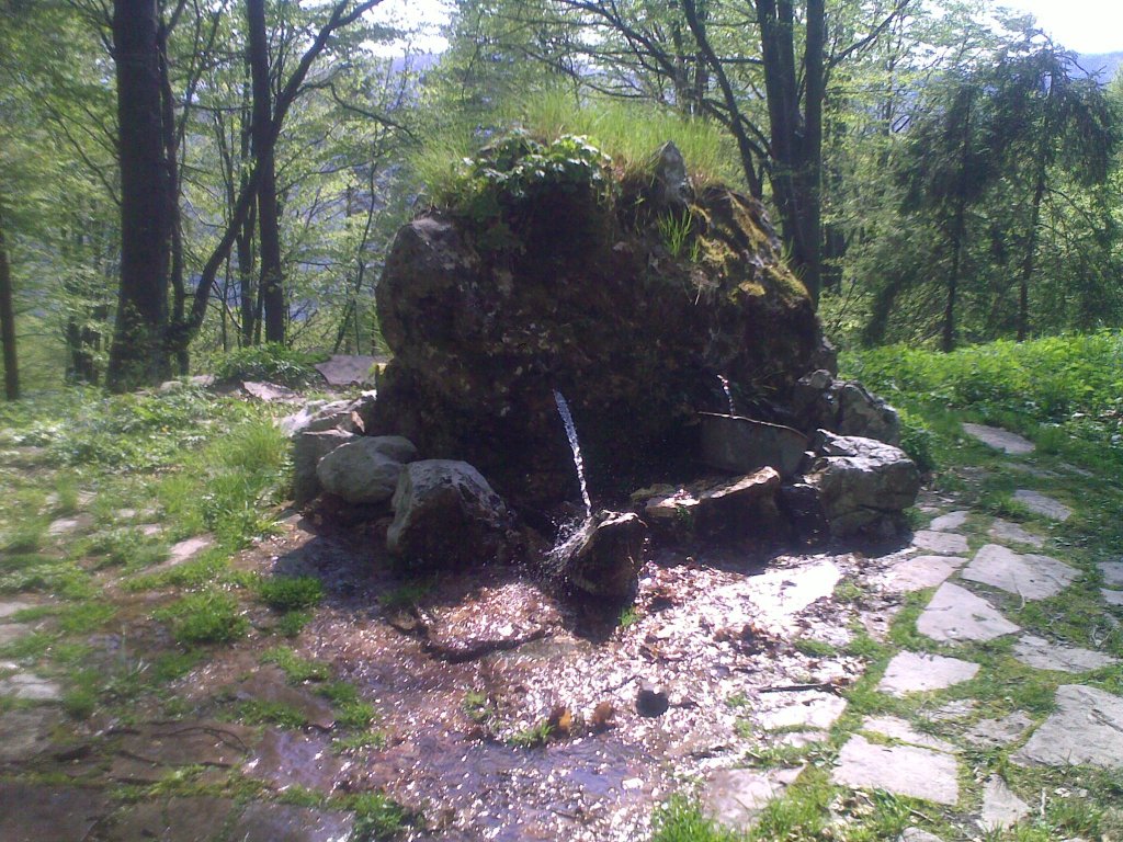 Натиснете снимката за да я уголемите

Име:15052011500.jpg
Прегледи:2
Размер:241.6 КБ
ID:5317517
